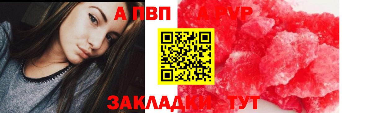 Ачхой-Мартан  хочу   APVP крисы CK  A PVP крисы CK  Alpha PVP  Вход с VPN  Alfa_PVP СК 