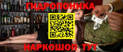 эйфоретик Шелехов