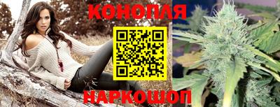 прущие крисы Шебекино