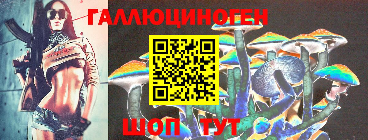 Галлюциногенные грибы мицелий  Вход с VPN  Ачхой-Мартан 