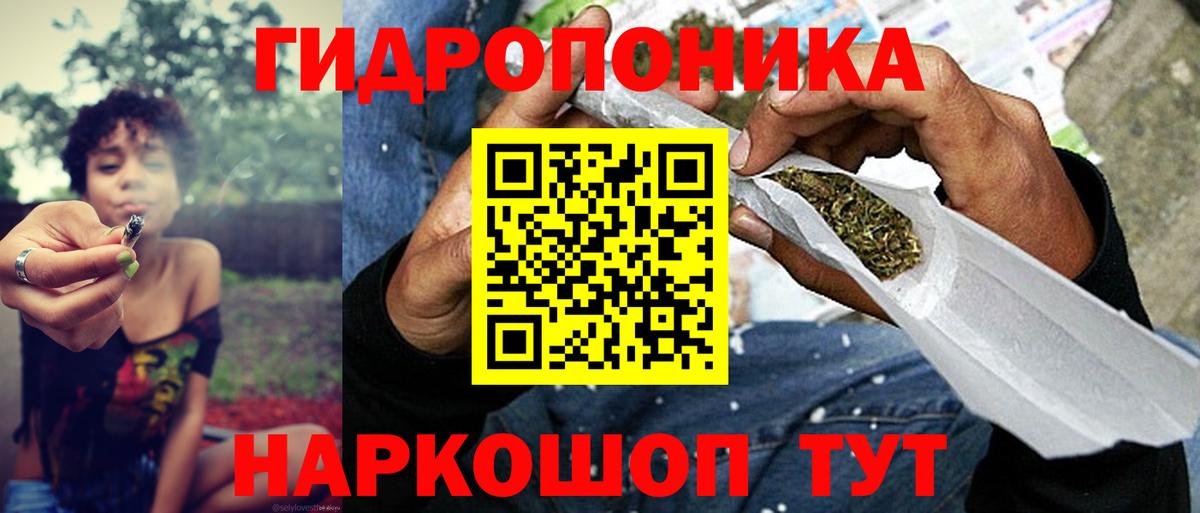 Бошки Шишки тримм Ачхой-Мартан